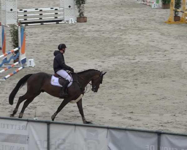 Reitturnier Wildeshausen 2022