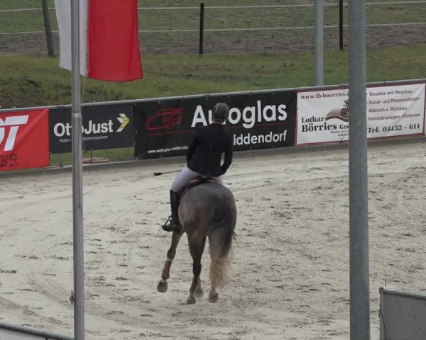 Reitturnier Wildeshausen 2022