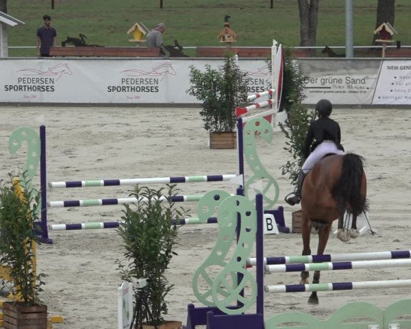 Reitturnier Wildeshausen 2022
