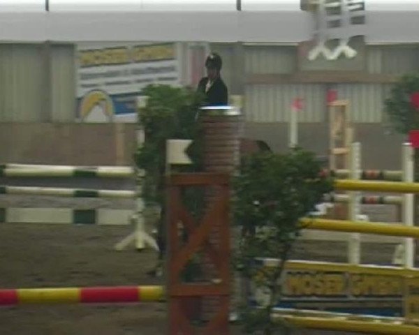 Zuchtstute Escada M (Württemberger, 2003, von Exodus)