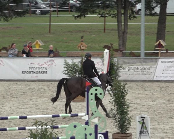 Reitturnier Wildeshausen 2022