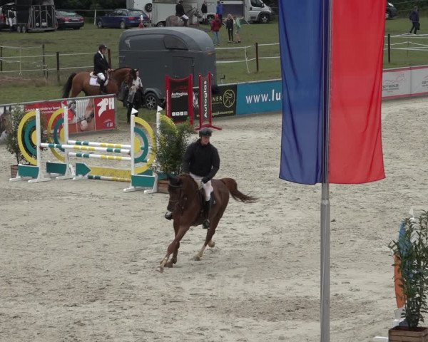 Reitturnier Wildeshausen 2022