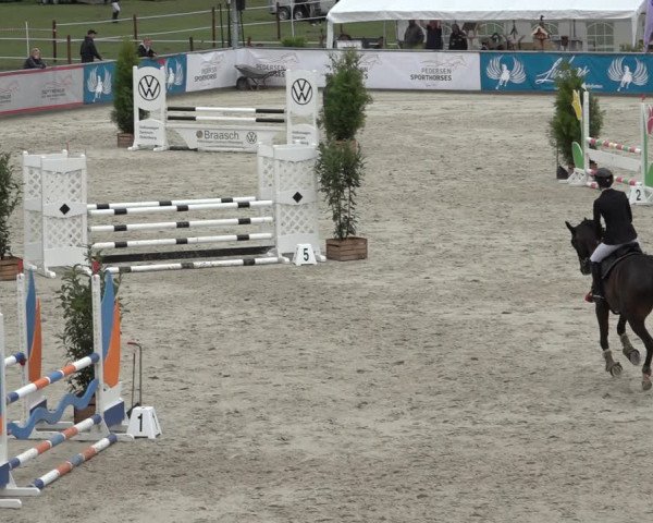 Reitturnier Wildeshausen 2022