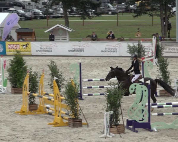 Reitturnier Wildeshausen 2022