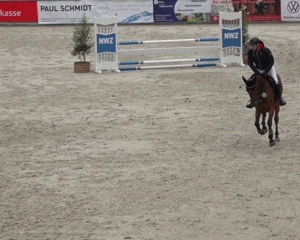Reitturnier Wildeshausen 2022