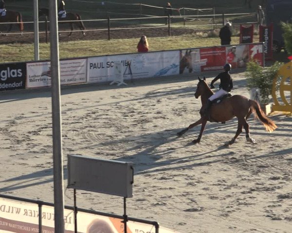 Reitturnier Wildeshausen 2022