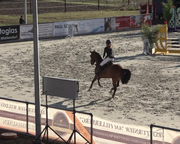 Reitturnier Wildeshausen 2022