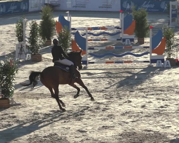 Reitturnier Wildeshausen 2022