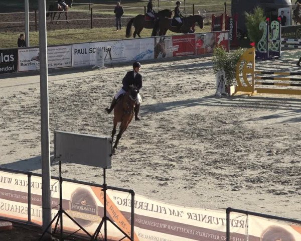 Reitturnier Wildeshausen 2022