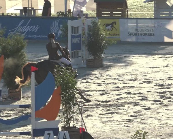 Reitturnier Wildeshausen 2022