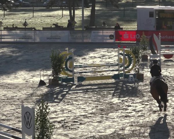 Reitturnier Wildeshausen 2022