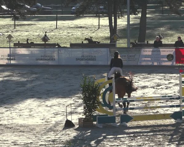Reitturnier Wildeshausen 2022