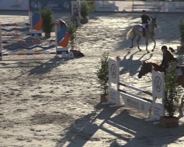 Reitturnier Wildeshausen 2022