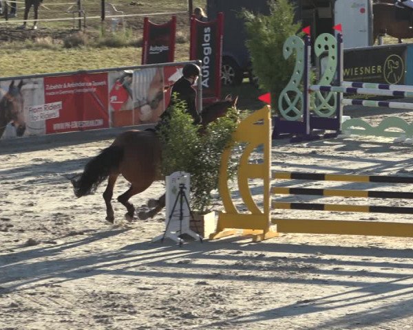 Reitturnier Wildeshausen 2022