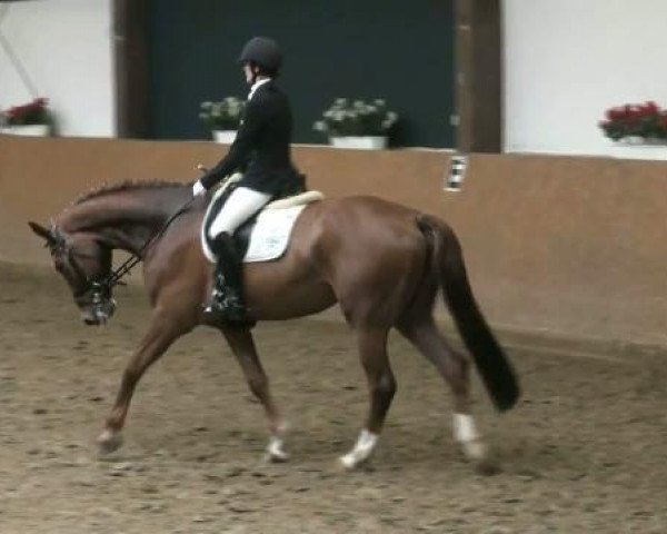 dressage horse Escubelle (Westphalian, 2007, from Ehrentanz I)