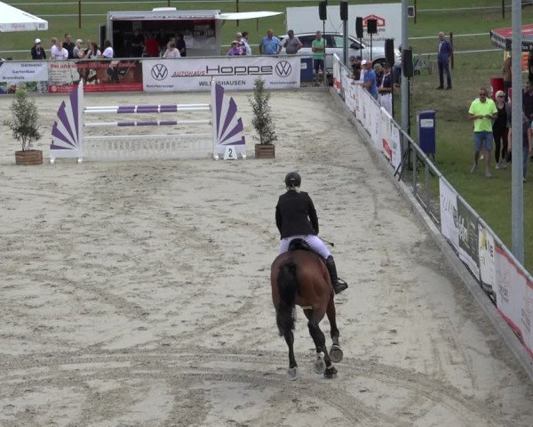 Reitturnier Wildeshausen 2022