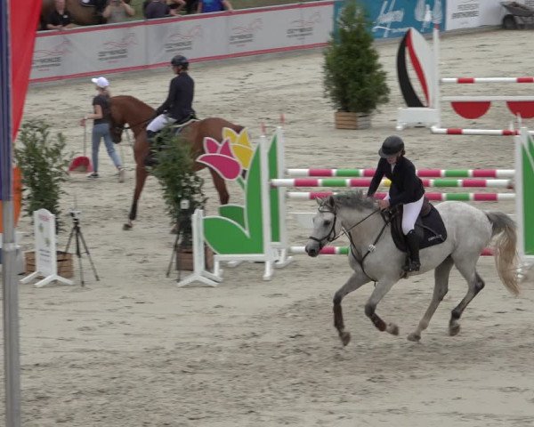 Reitturnier Wildeshausen 2022