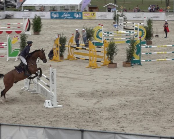 Reitturnier Wildeshausen 2022