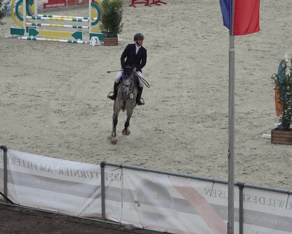 Reitturnier Wildeshausen 2022