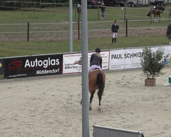 Reitturnier Wildeshausen 2022