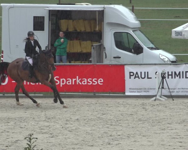 Reitturnier Wildeshausen 2022
