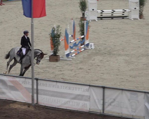 Reitturnier Wildeshausen 2022