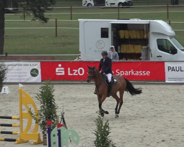 Reitturnier Wildeshausen 2022