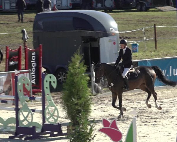 Reitturnier Wildeshausen 2022