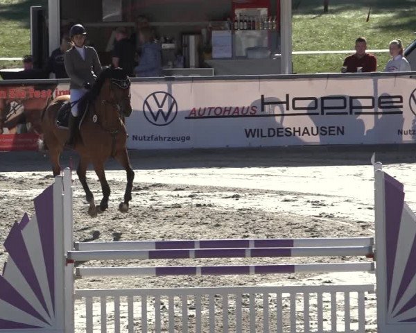 Reitturnier Wildeshausen 2022