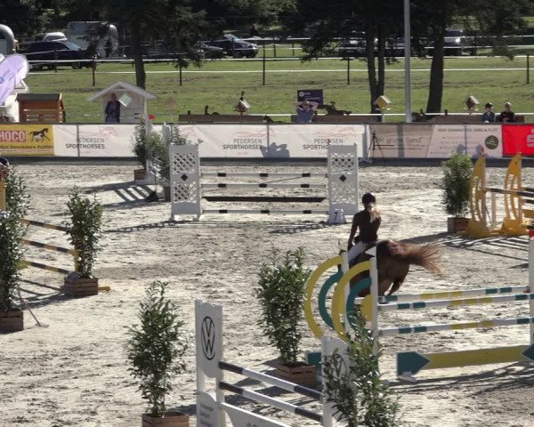 Reitturnier Wildeshausen 2022