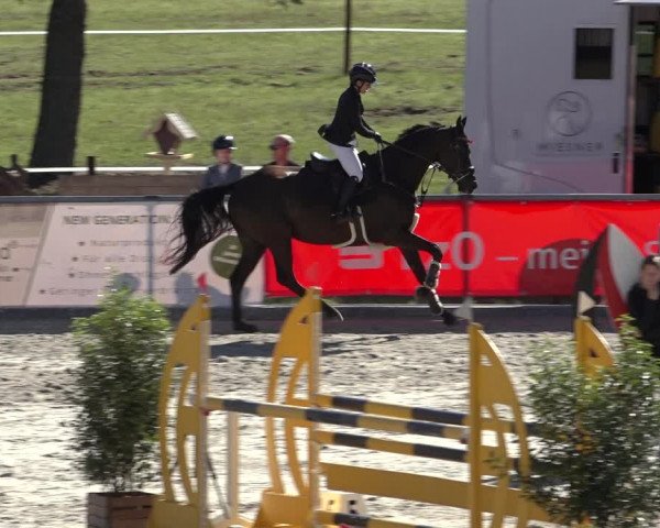 Reitturnier Wildeshausen 2022