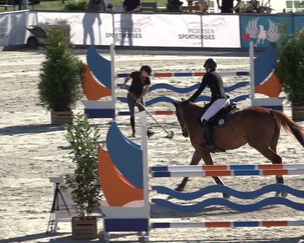 Reitturnier Wildeshausen 2022