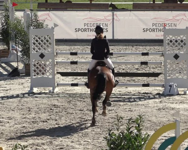 Reitturnier Wildeshausen 2022