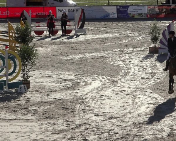 Reitturnier Wildeshausen 2022