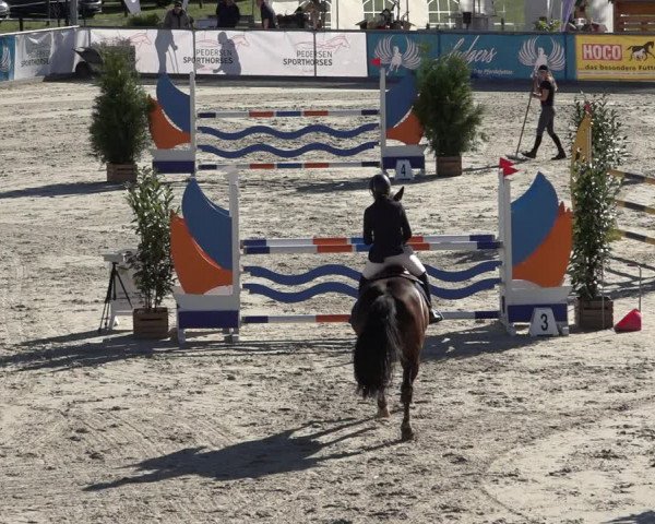 Reitturnier Wildeshausen 2022