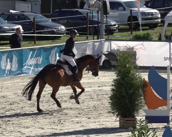 Reitturnier Wildeshausen 2022