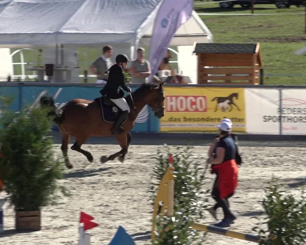 Reitturnier Wildeshausen 2022