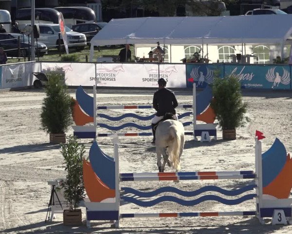 Reitturnier Wildeshausen 2022