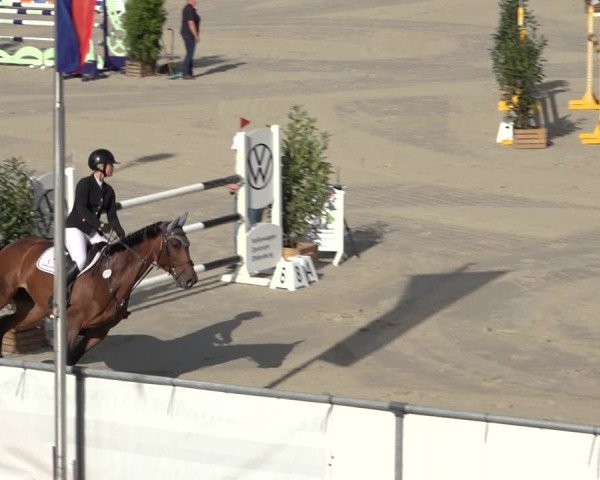 Reitturnier Wildeshausen 2022
