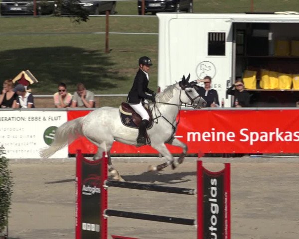 Reitturnier Wildeshausen 2022