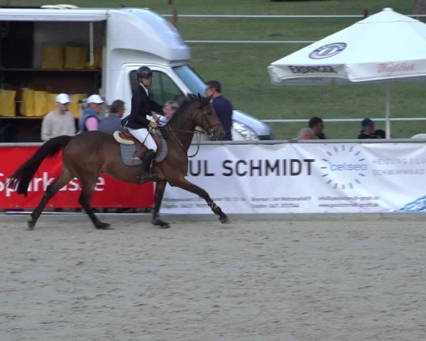 Reitturnier Wildeshausen 2022