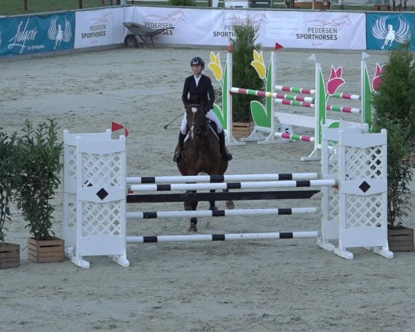 Reitturnier Wildeshausen 2022