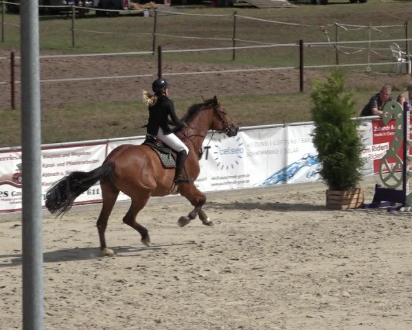 Reitturnier Wildeshausen 2022