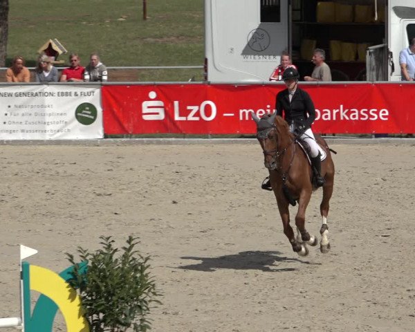 Reitturnier Wildeshausen 2022