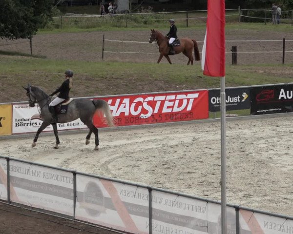 Reitturnier Wildeshausen 2022