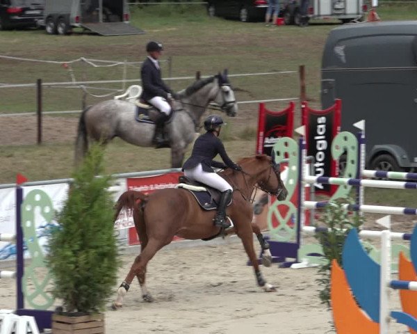 Reitturnier Wildeshausen 2022