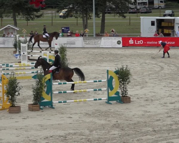 Reitturnier Wildeshausen 2022