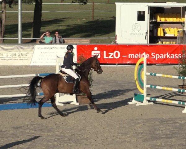 Reitturnier Wildeshausen 2022