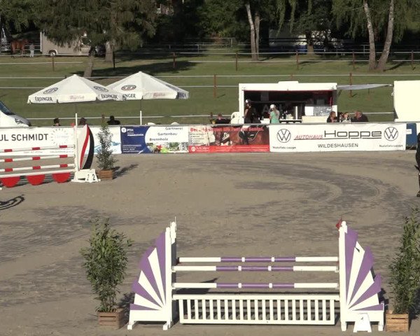 Reitturnier Wildeshausen 2022