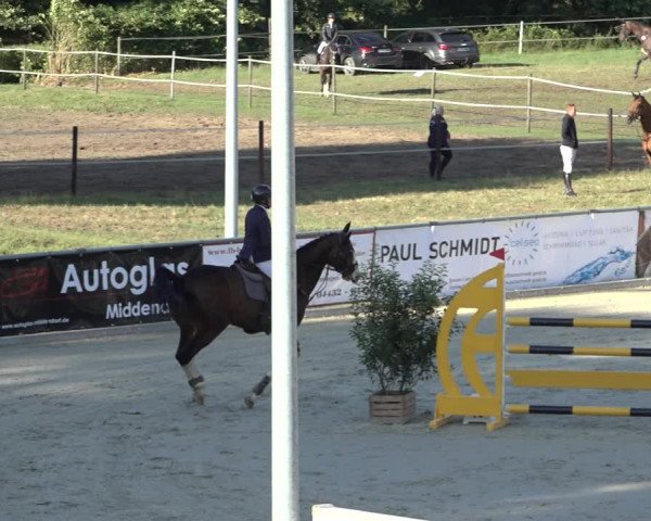 Reitturnier Wildeshausen 2022